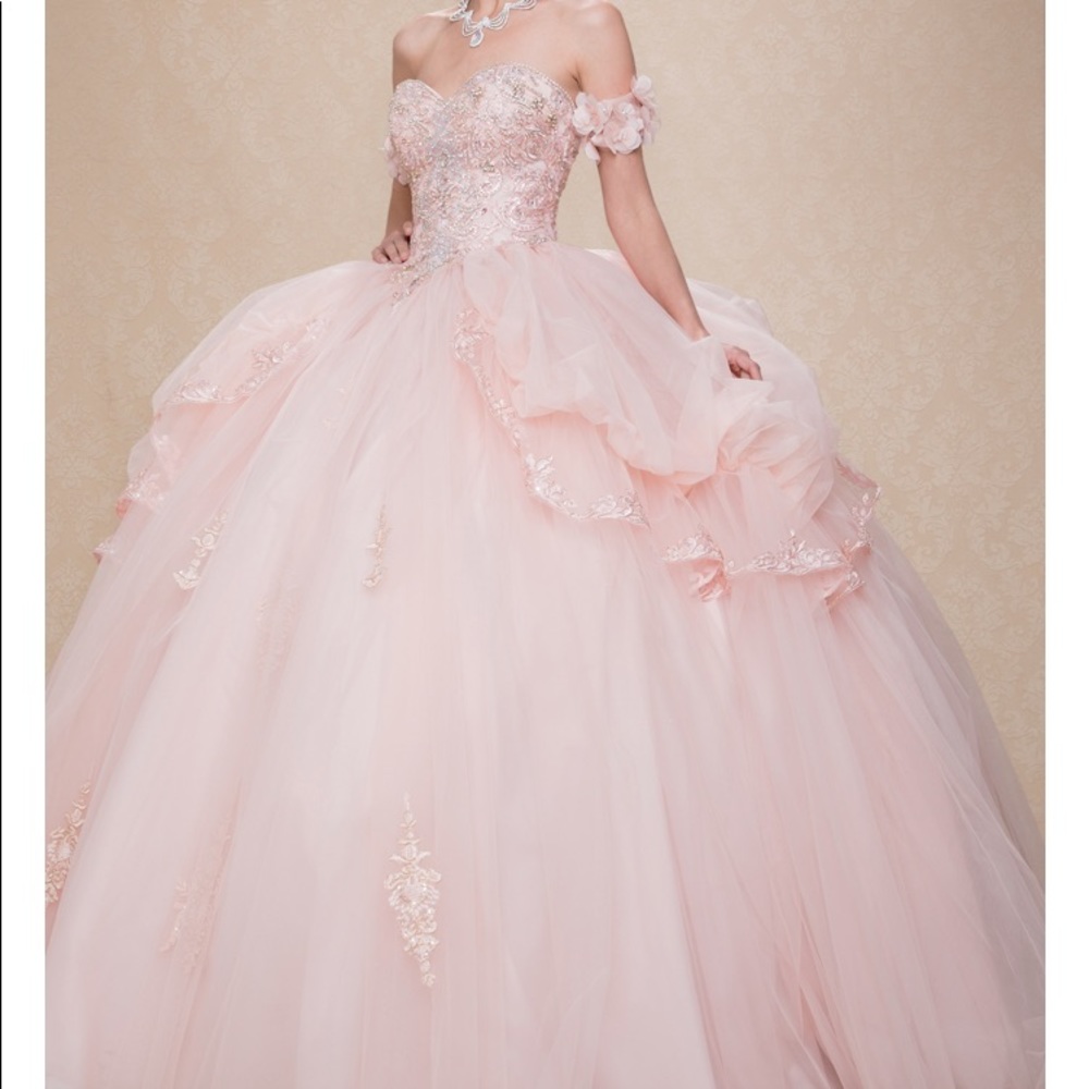 Leonia Lee quinceneria blush dress size s brand new never taken out of packaging